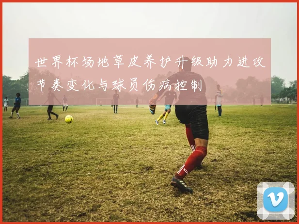 世界杯场地草皮养护升级助力进攻节奏变化与球员伤病控制