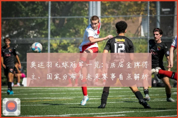 奥运羽毛球冠军一览：历届金牌得主、国家分布与未来赛事看点解析