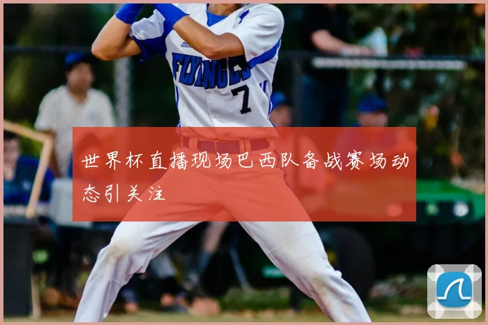 世界杯直播现场巴西队备战赛场动态引关注