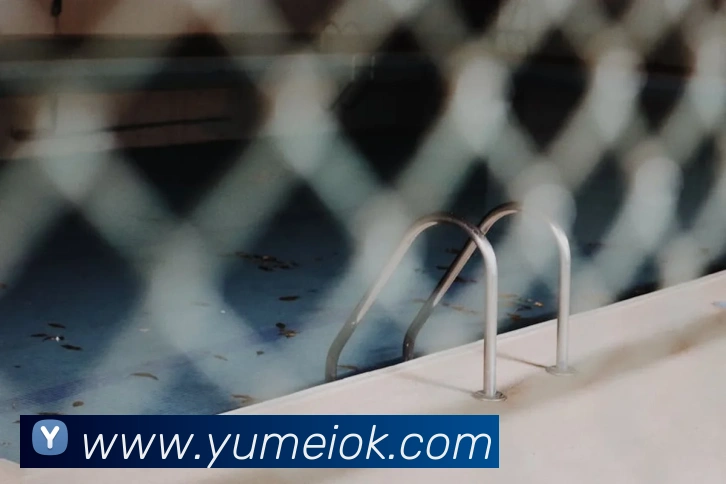 电子娱乐pg网站下载安装平台生态图